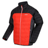 Regatta Mens Halton V Lightweight Insulated Padded Jacket