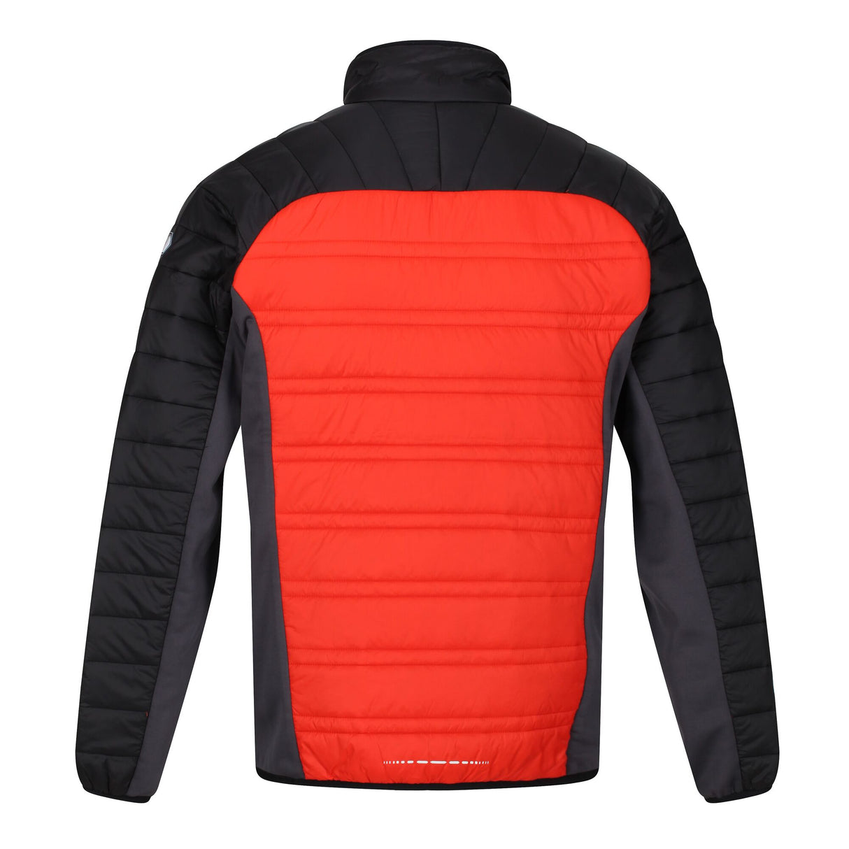 Regatta Mens Halton V Lightweight Insulated Padded Jacket