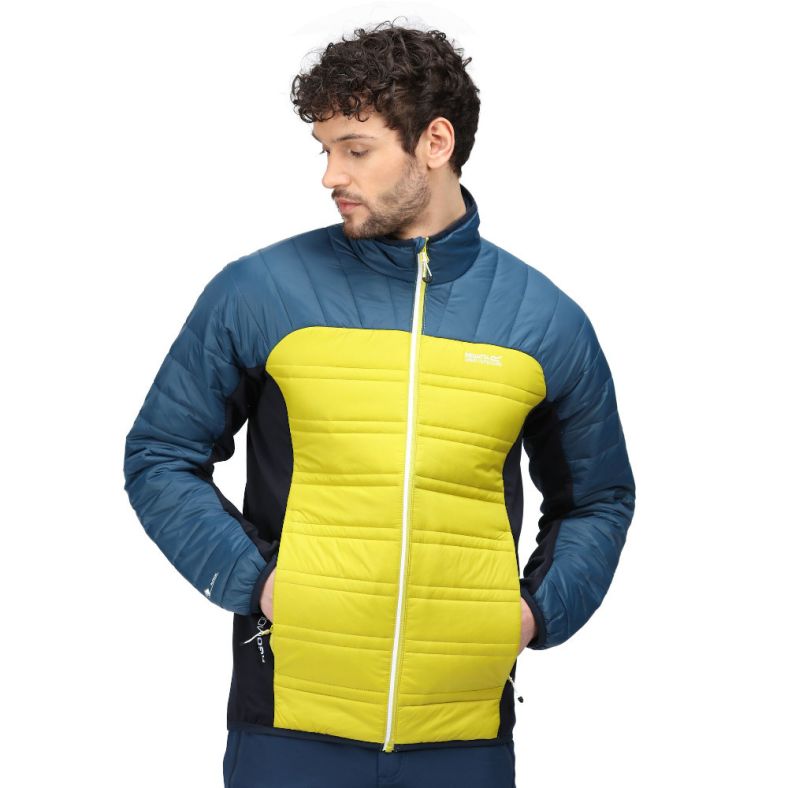 Regatta Mens Halton V Lightweight Insulated Padded Jacket