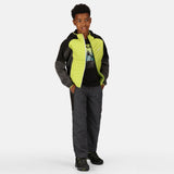Regatta Kids Kielder Hybrid VI Softshell Jacket