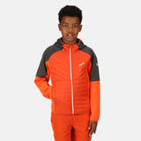Regatta Kids Kielder Hybrid VI Softshell Jacket