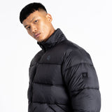 Dare2b Mens Mentor Padded Jacket