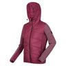 Regatta Womens Pemble IV Hybrid Softshell Jacket