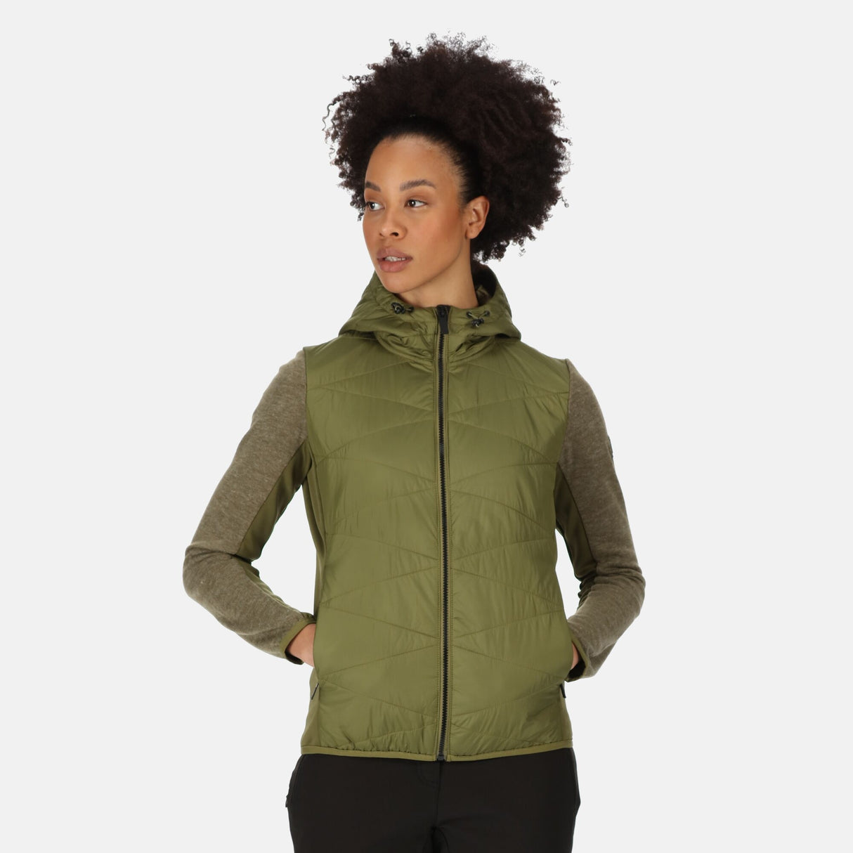 Regatta Womens Pemble IV Hybrid Softshell Jacket